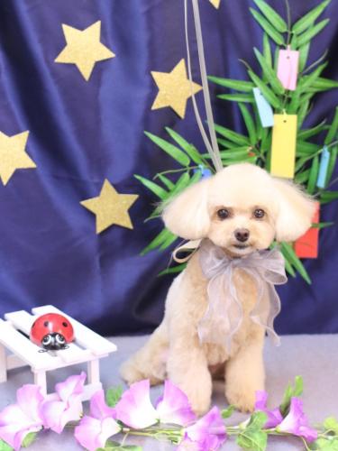 20230723むぎちゃん